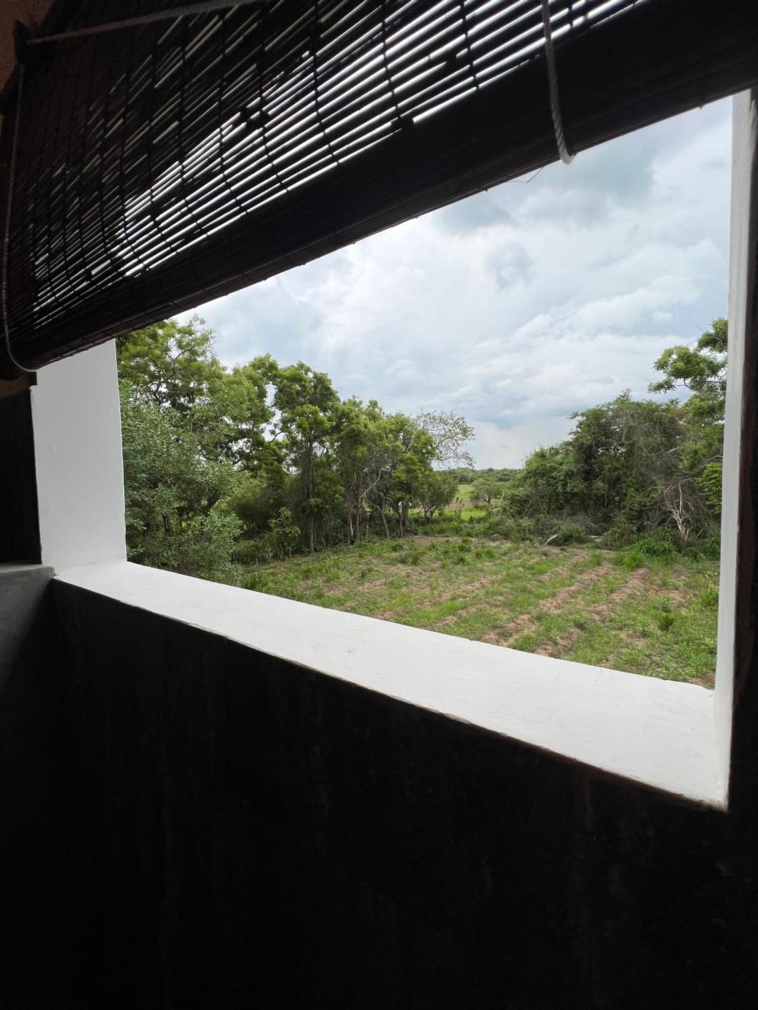Tembo Cottage Wilpattu Exterior photo